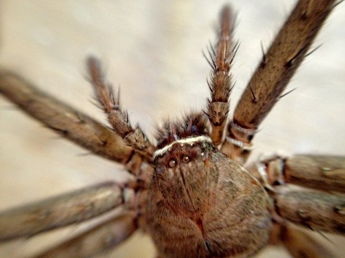 7070215459_d783888551_b