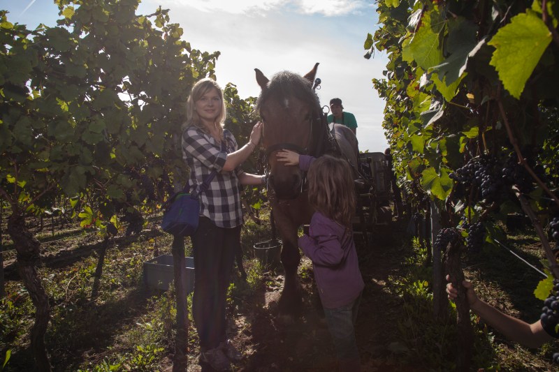 Mr. Müller got a lot of attention