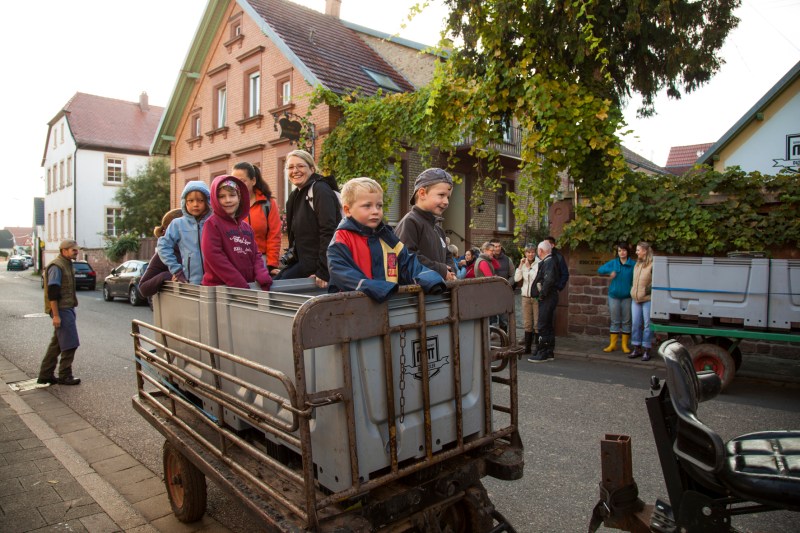 on our way to the wine yard