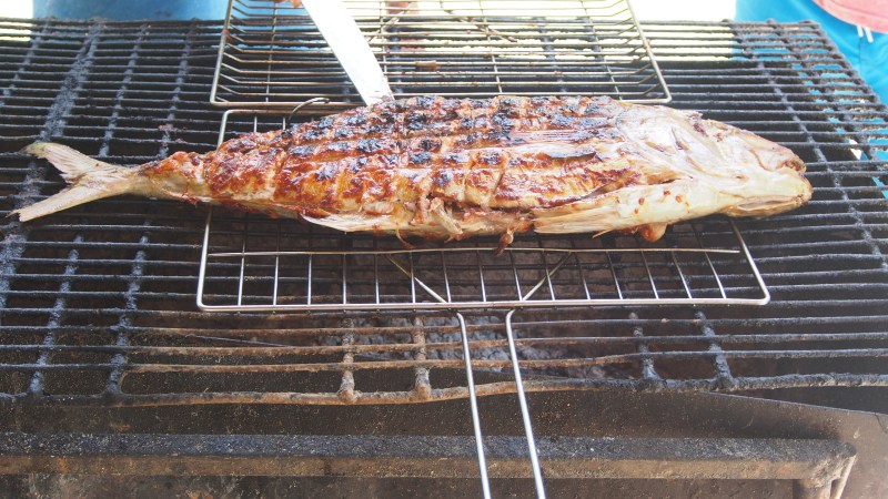 bat fish on Sister Island