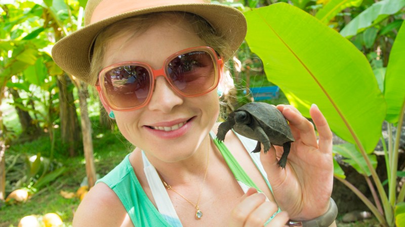Baby Tortoise - La Digue