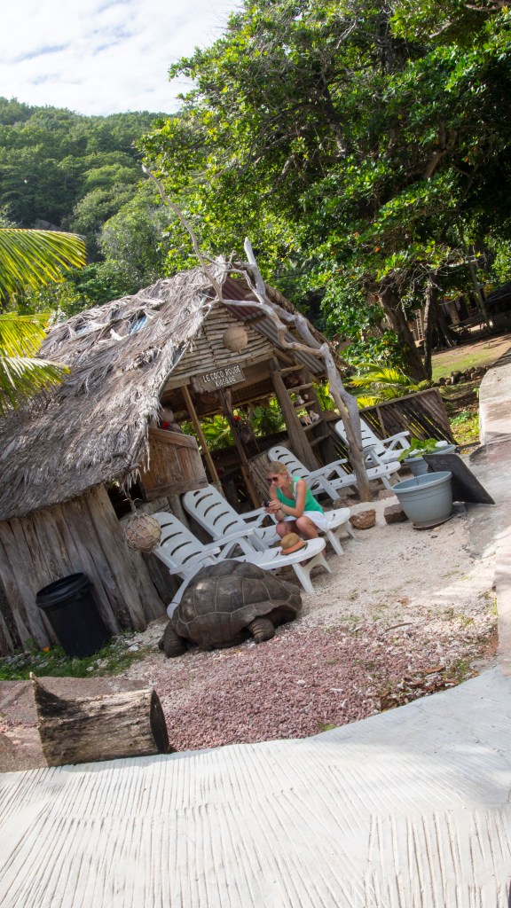 Padding the Tortoise