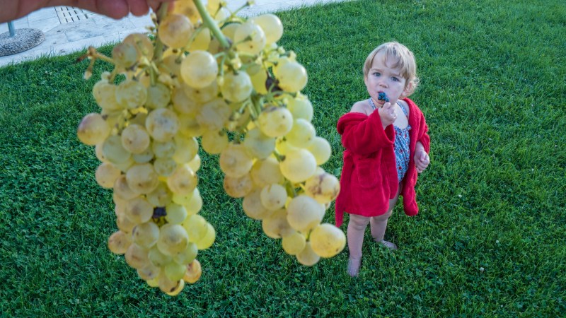 tuscany2_0003_Layer 11