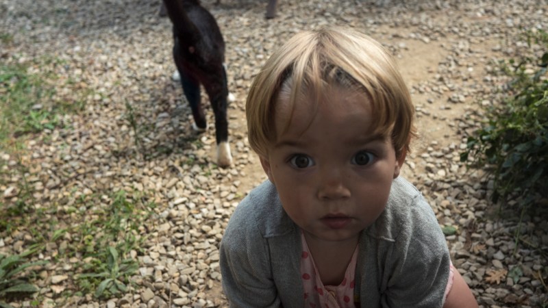 tuscany2_0012_Layer 2