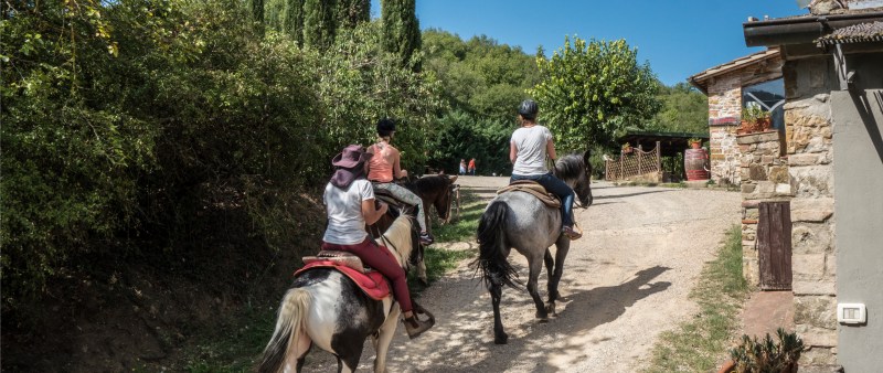 Horse Riding Poggio Asciutto