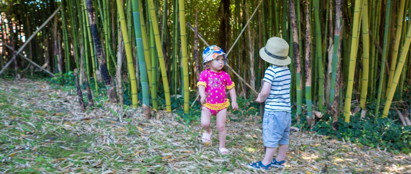 holiday all stretched copy_0005_Layer 78