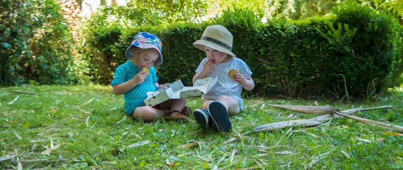 holiday all stretched copy_0009_Layer 74.jpg