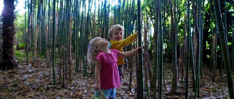 holiday all stretched copy_0070_Layer 13.jpg